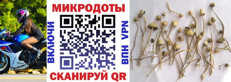закладки Новоуральск Галлюциногенные грибы Magic Shrooms